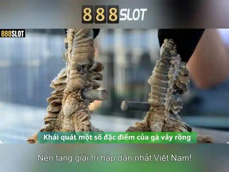 888slot - Đánh giá và trải nghiệm casino trực tuyến